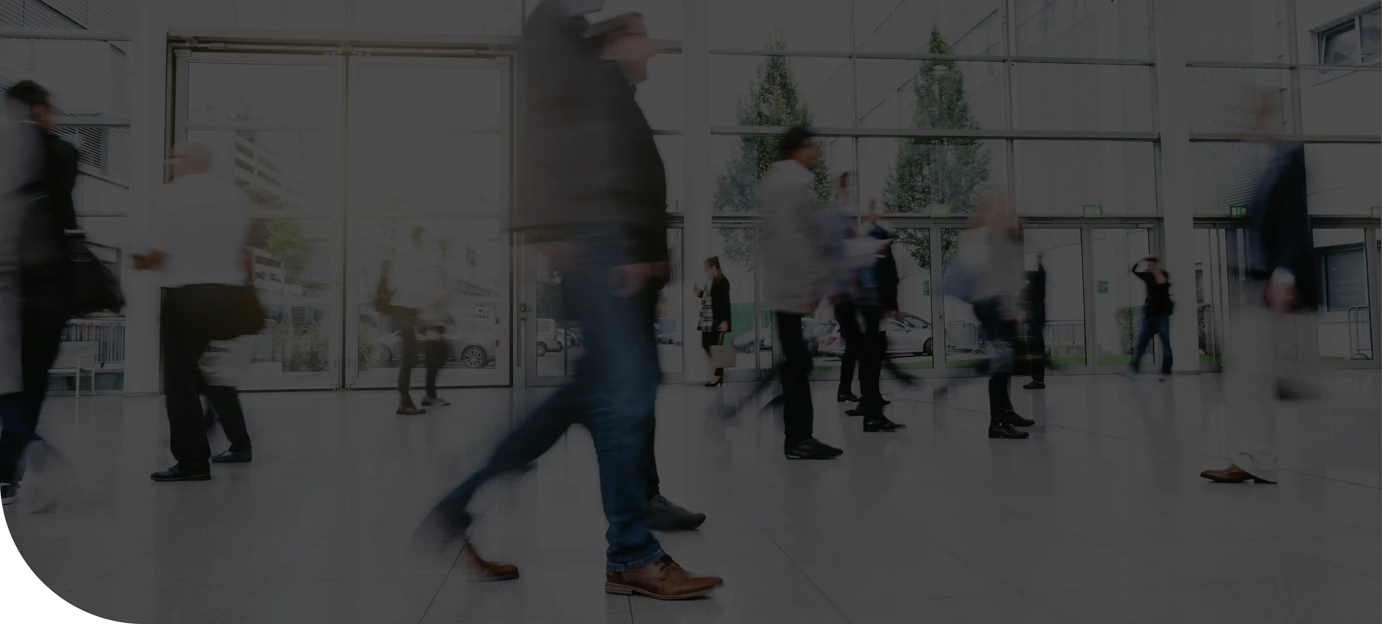 Become an Expert background